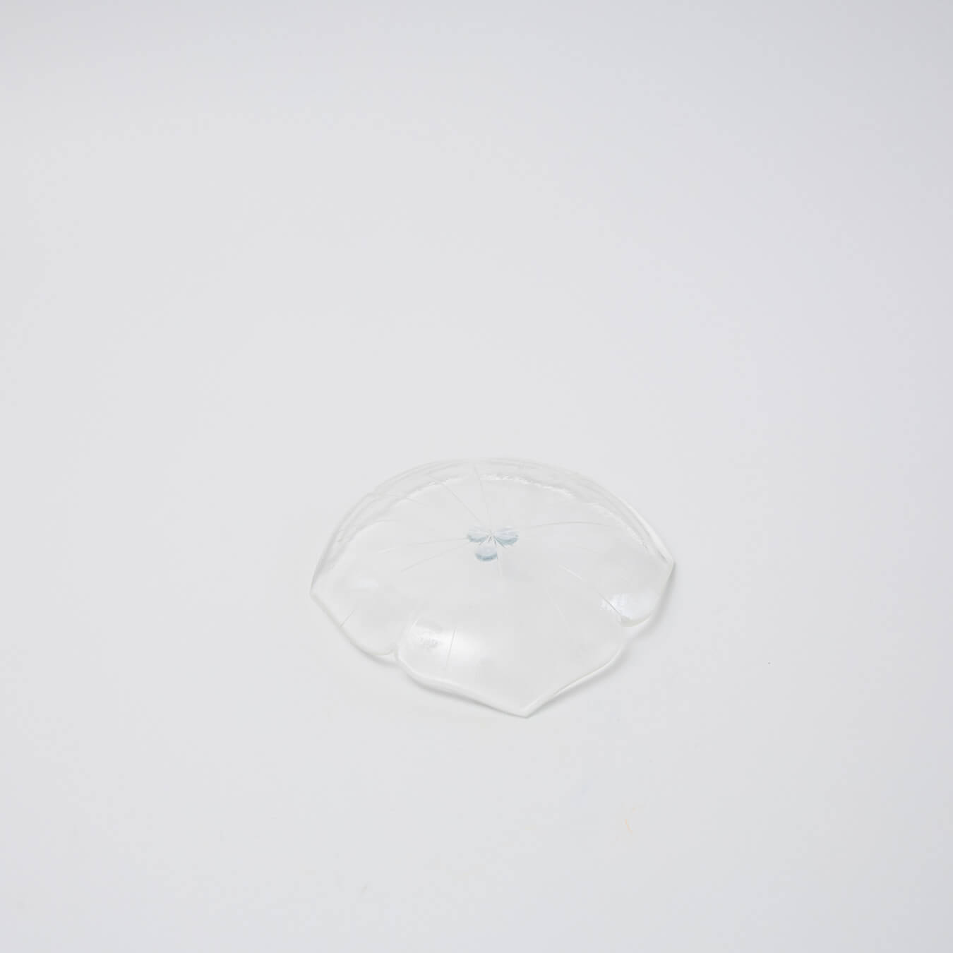 Sasaki shoko Glass works-花形中鉢-1