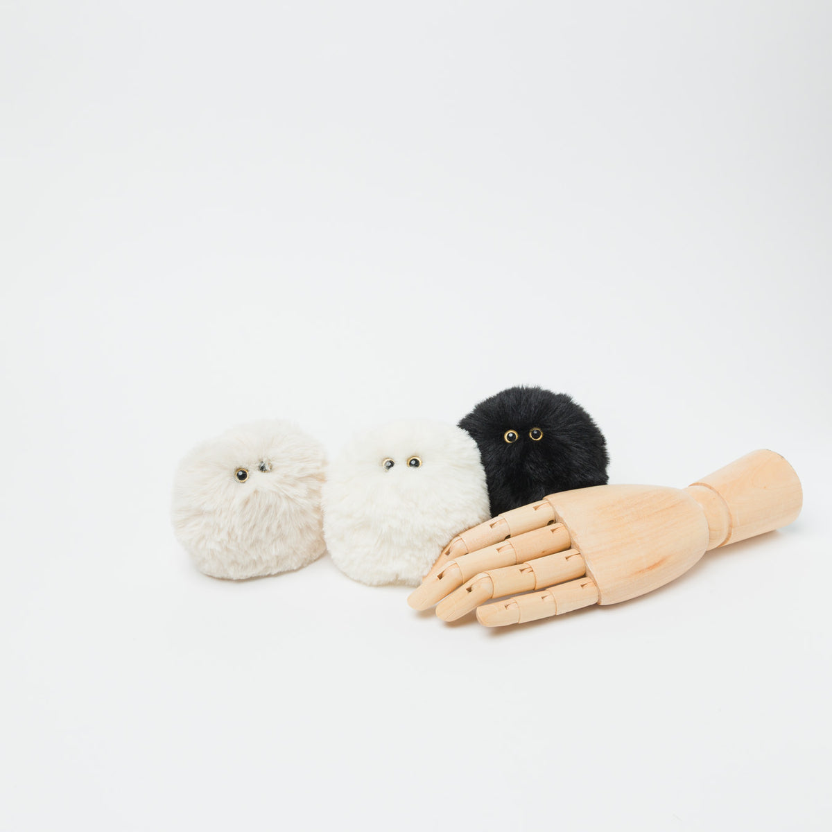 左から、「Kabi」「Shirokabi」「Kurokabi」