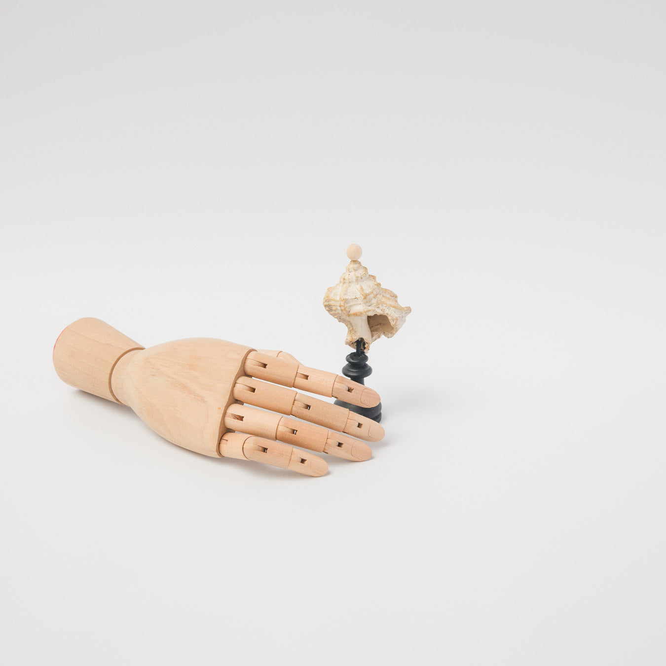 木葉絢子-エキセントリック水石-C