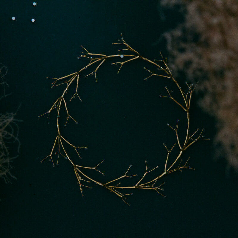 mone morigaki-透明な実り 壁掛けフレーム bloom-ゴールド