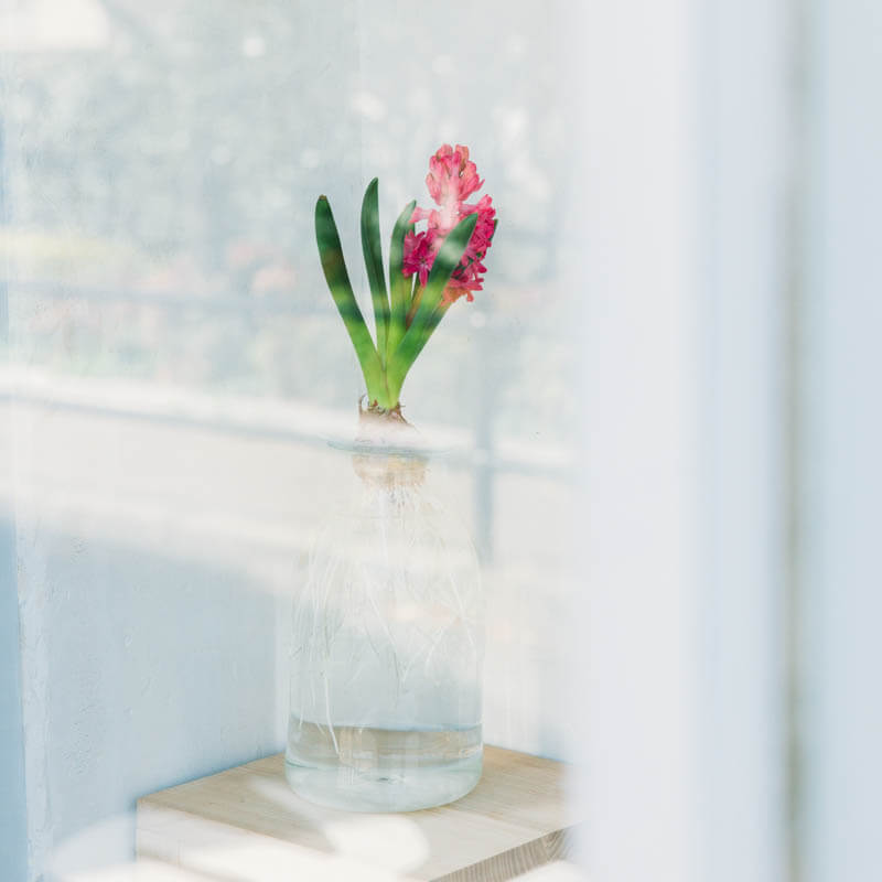 日々ガラス製作所 さこうゆうこ-ヒヤシンスポット セパレート-2