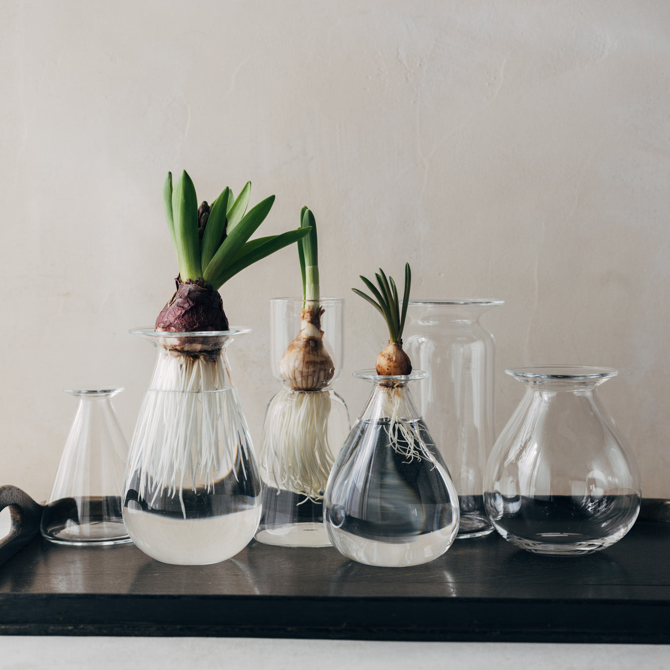 日々ガラス製作所 さこうゆうこ-ムスカリポット-5