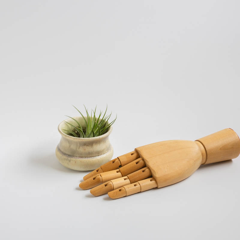 椎猫白魚/SHIINE SHIRAUO-植木鉢-2