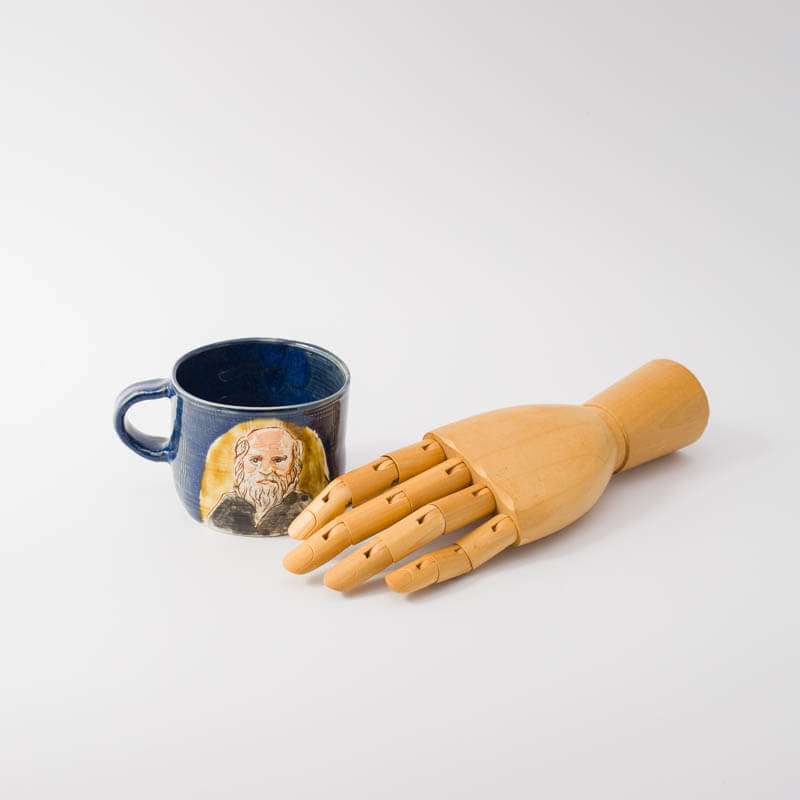 田川亞希-偉人マグ-ダーウィン