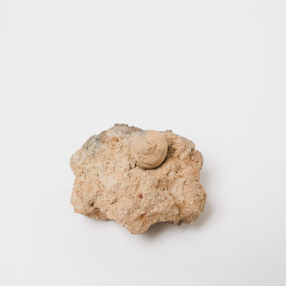 大西紗希-登山熊（小）-2