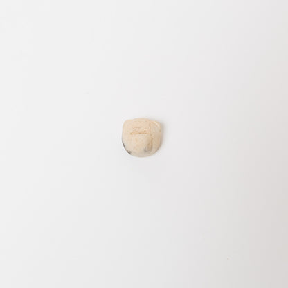 大西紗希-熊マグネット-1
