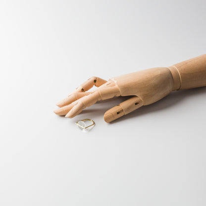 Asuka Shimada-ring blass hemisphere+D S/M