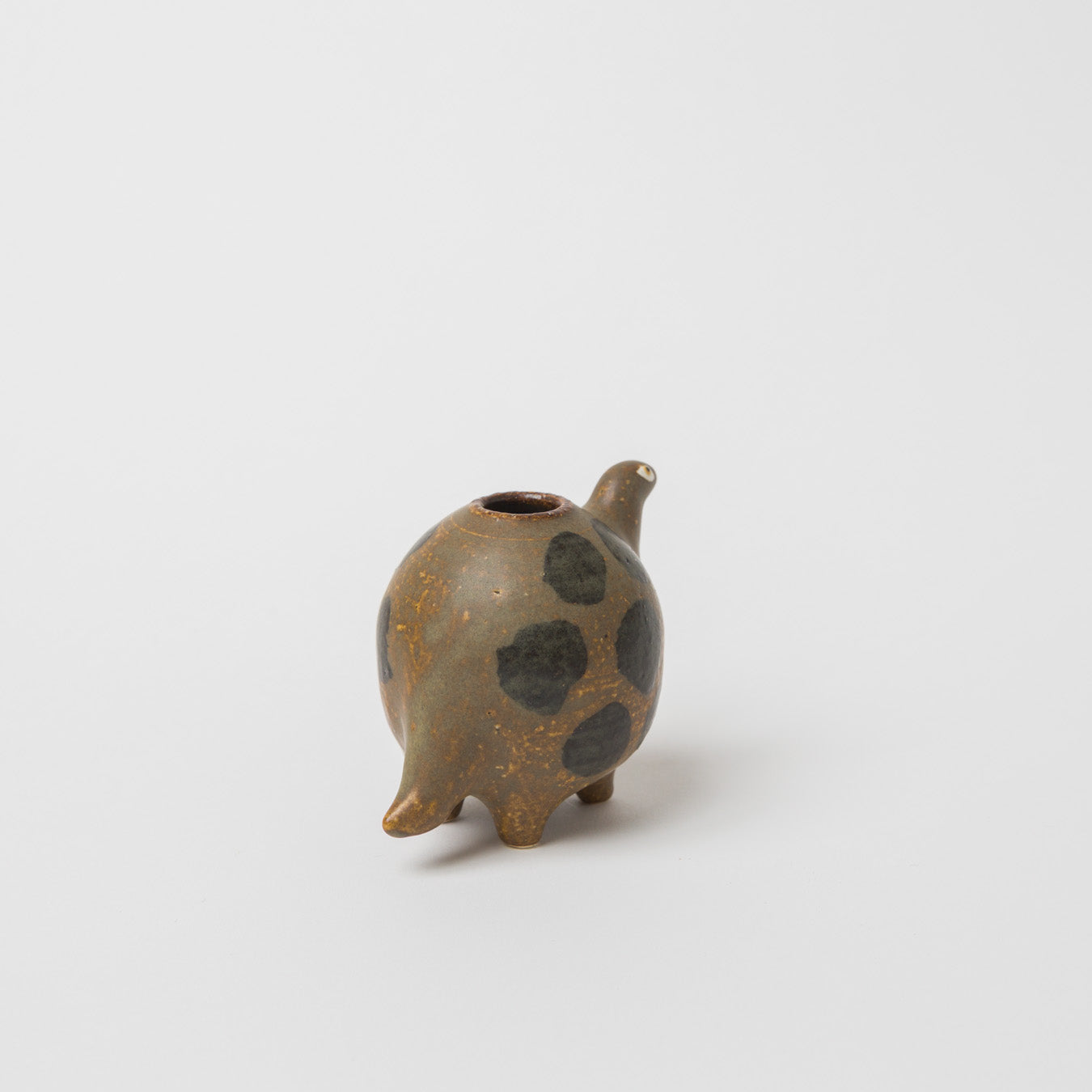 小林由依-小壷-きょうりゅう-1