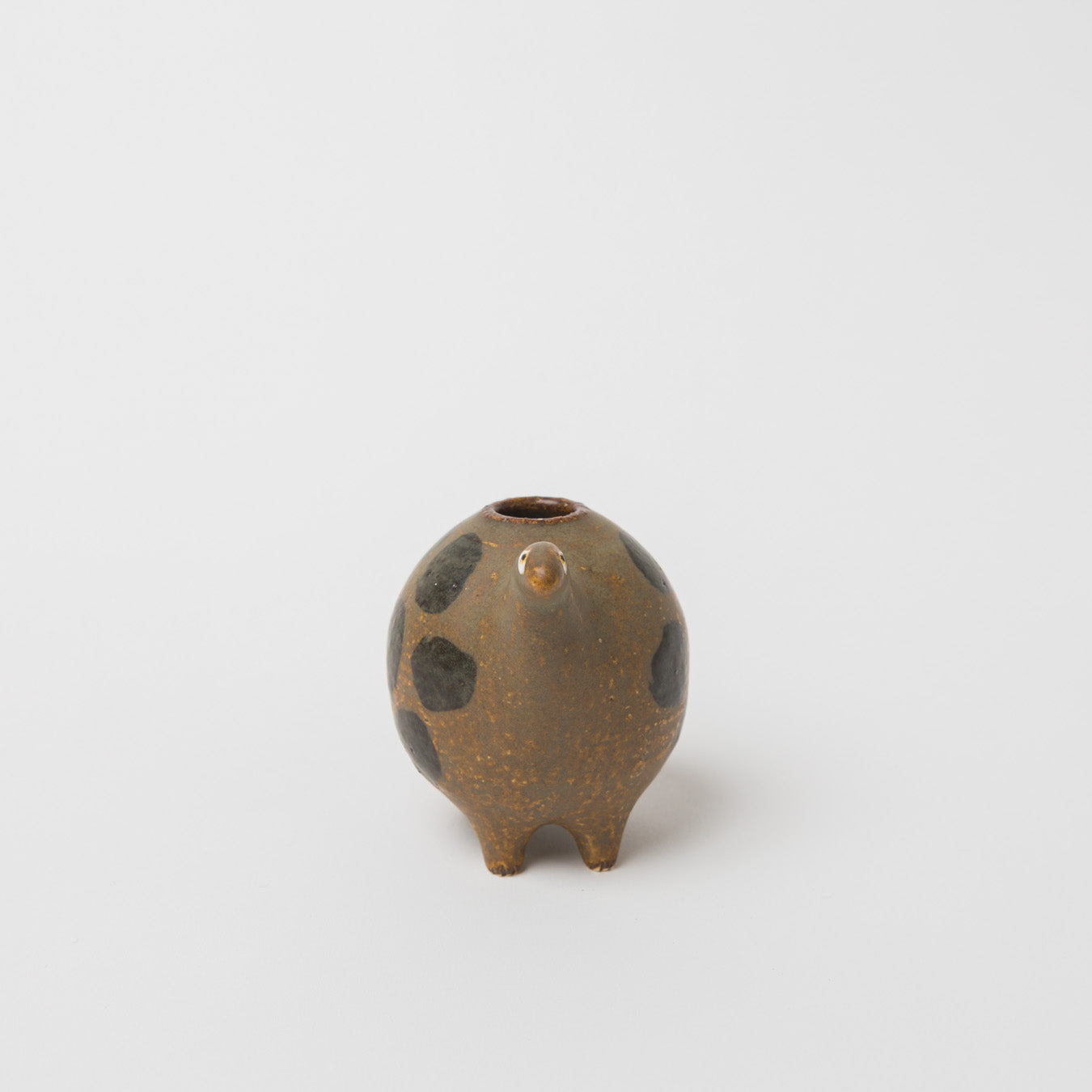 小林由依-小壷-きょうりゅう-1