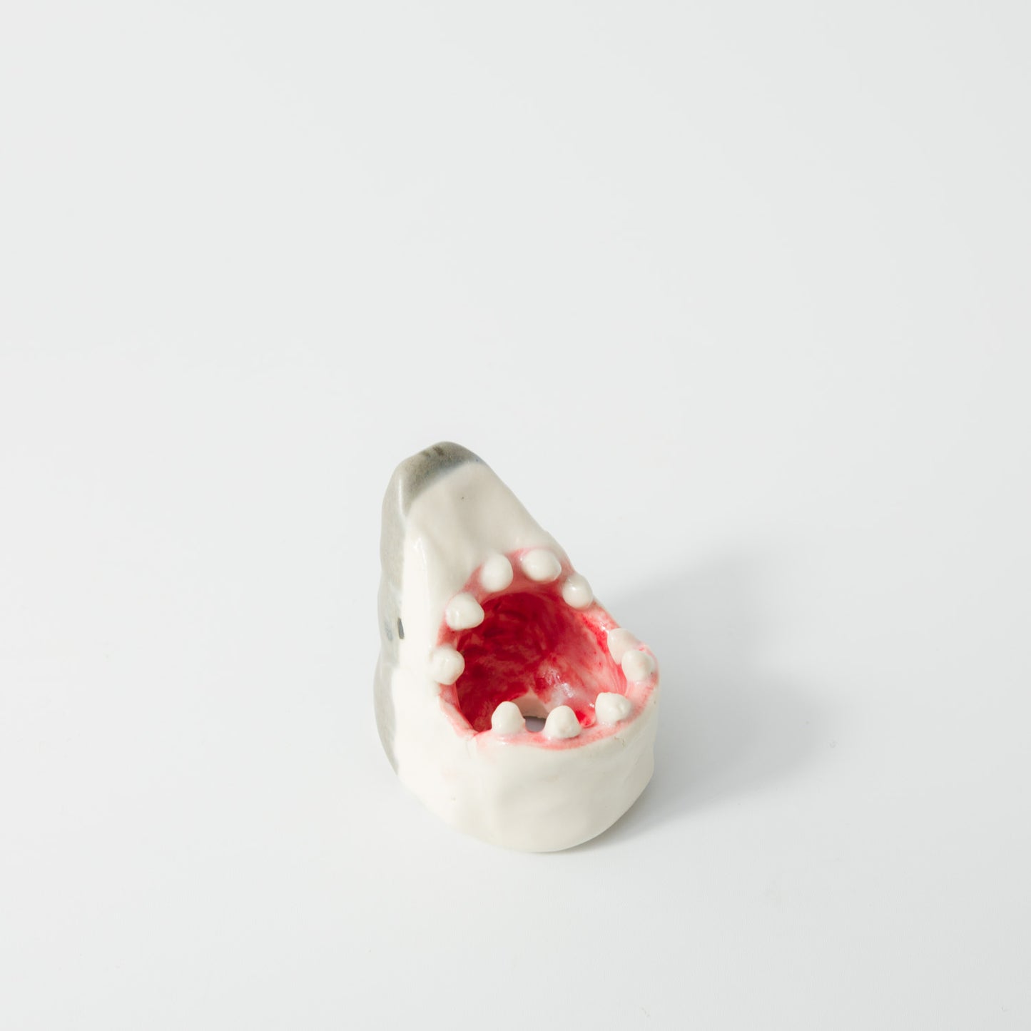 田川亞希-サメのミニ鉢