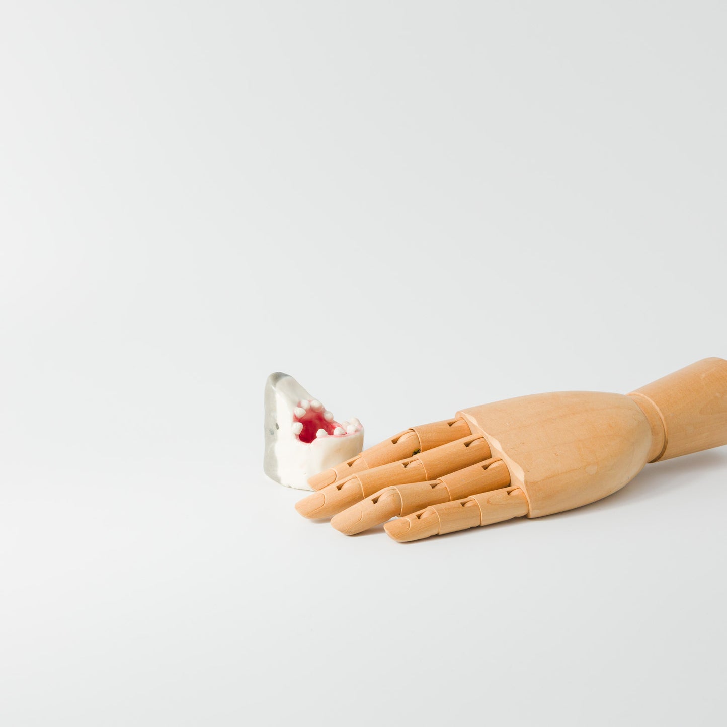 田川亞希-サメのミニ鉢