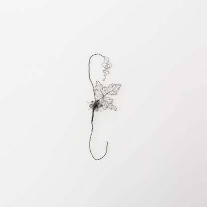 courircourir-標本箱「ナワシロイチゴ」