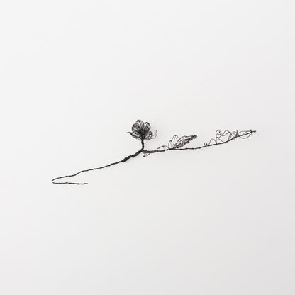 courircourir-標本箱「ナワシロイチゴ」