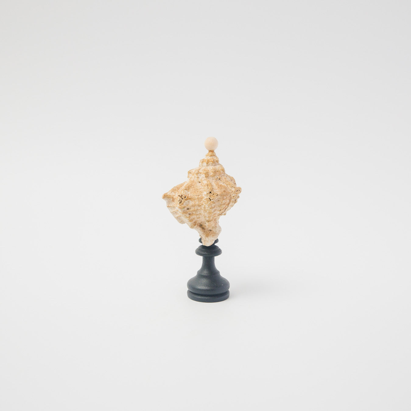 木葉絢子-エキセントリック水石-C