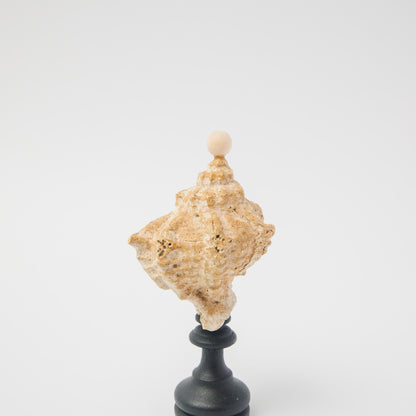 木葉絢子-エキセントリック水石-C