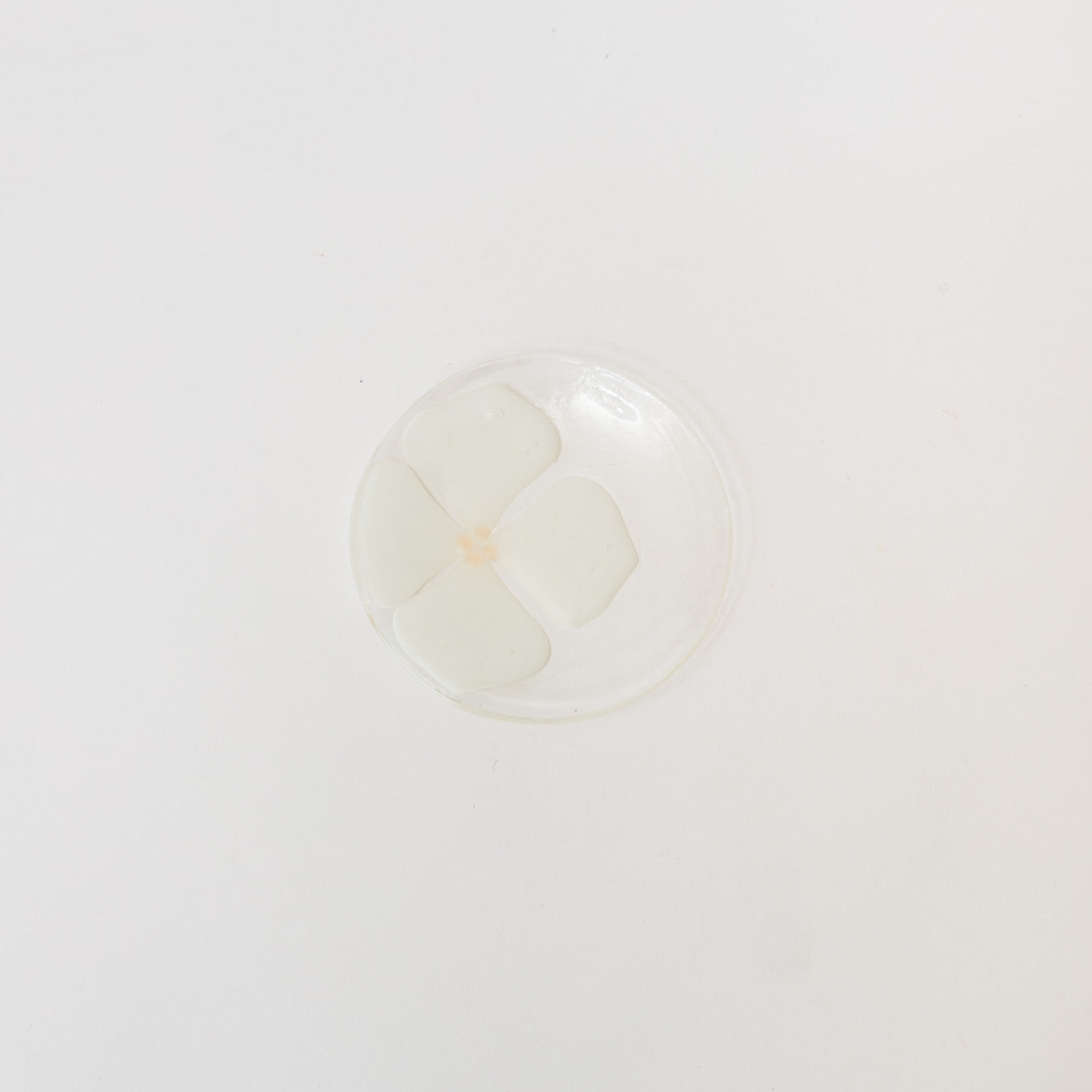 Sasaki shoko Glass works-丸小皿-1