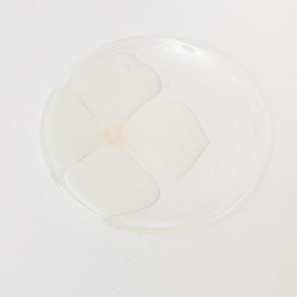 Sasaki shoko Glass works-丸小皿-1