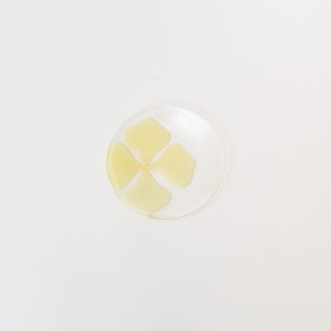 Sasaki shoko Glass works-丸小皿-2