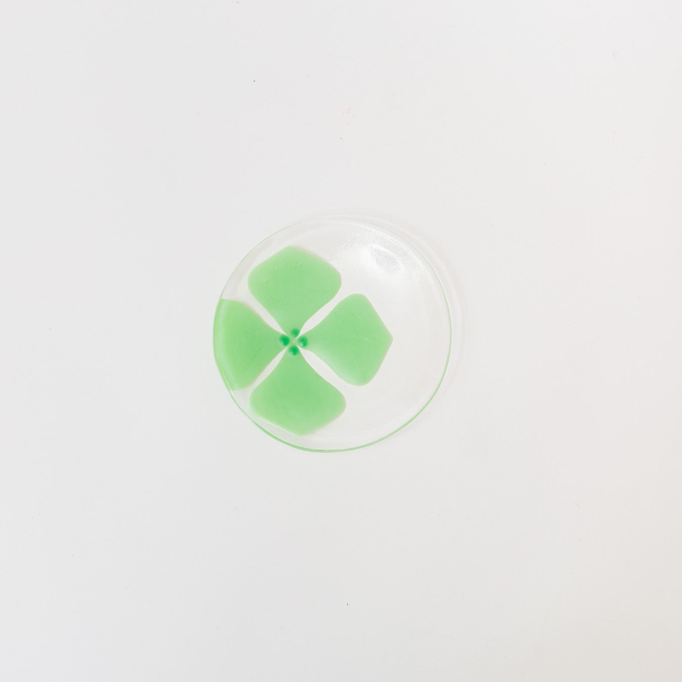 Sasaki shoko Glass works-丸小皿-6